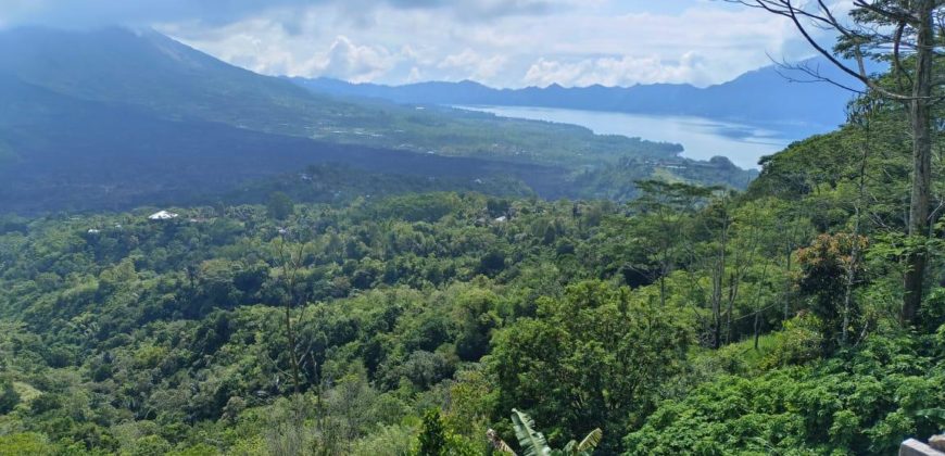 Tanah 2 Hectare View Mount Batur and Lake Batur Kintamani Penelokan Bangli