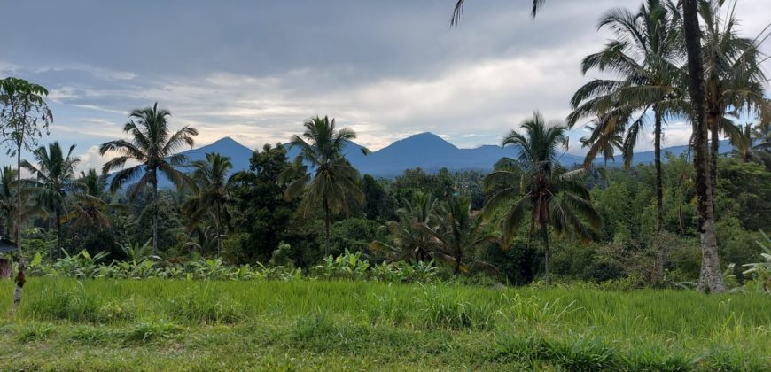 Tanah 19,5 Ara dekat Hanging Garden Hotel di Payangan