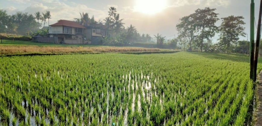 Villa 10 Ara di Penestanan Ubud