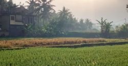 Villa 10 Ara di Penestanan Ubud