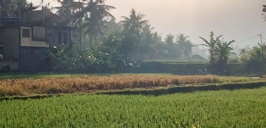 Villa 10 Ara di Penestanan Ubud