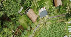 Villa 11 Ara View Ricefield and Mount Agung Sidemen
