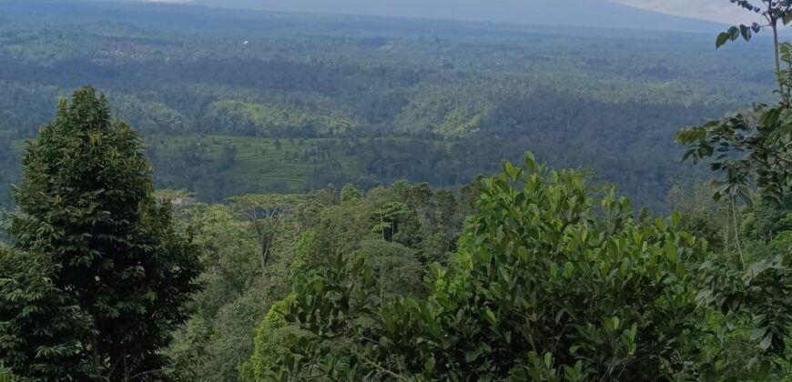 Land 87 Ara at Petang Badung Bali