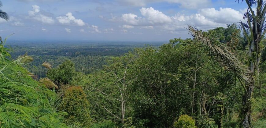 Land 87 Ara at Petang Badung Bali