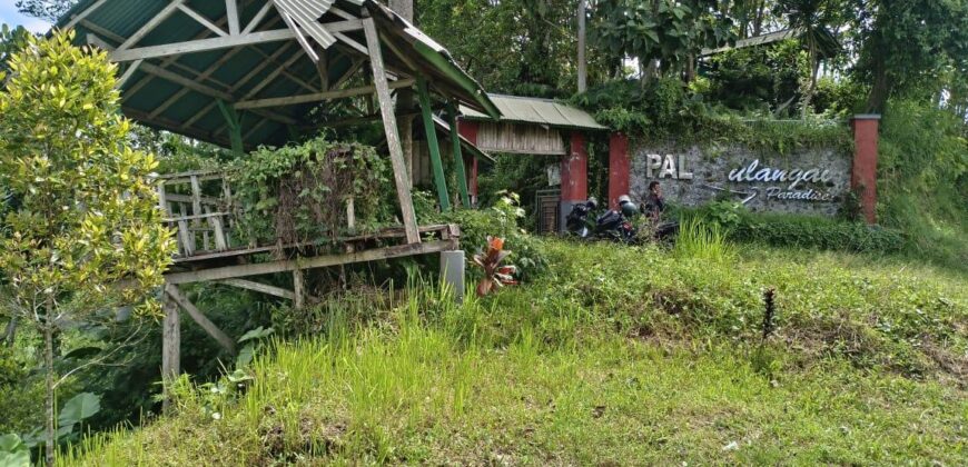 Land 87 Ara at Petang Badung Bali