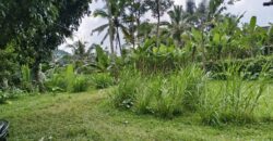 Land 180 Ara at Payangan Gianyar Bali