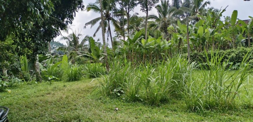 Land 180 Ara at Payangan Gianyar Bali