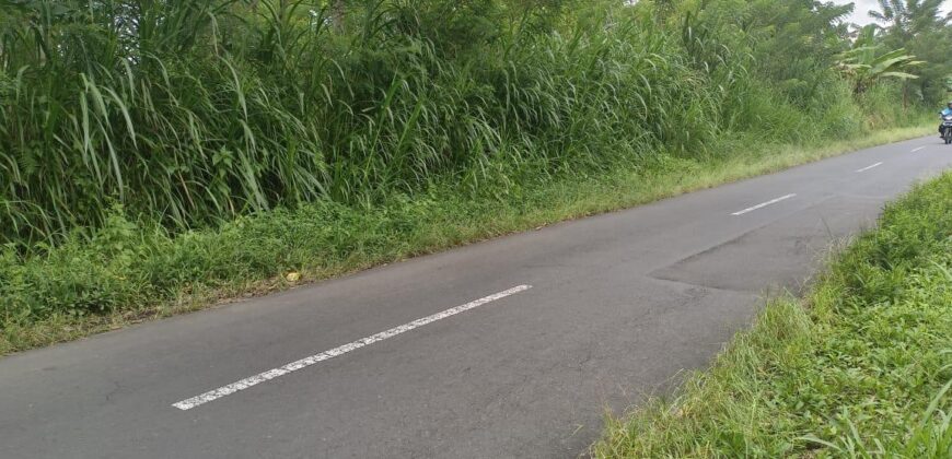 Tanah Tegalan 13 Ara Ubud Gianyar