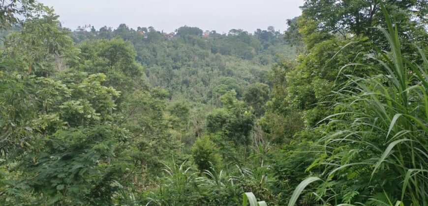 Tanah Tegalan 13 Ara Ubud Gianyar