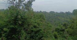 Tanah Tegalan 13 Ara Ubud Gianyar