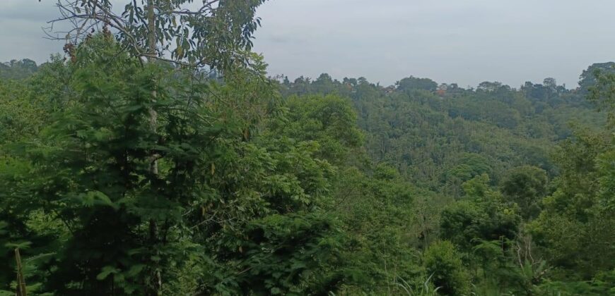 Tanah Tegalan 13 Ara Ubud Gianyar