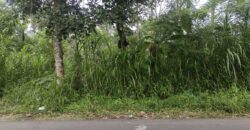 Tanah Tegalan 13 Ara Ubud Gianyar