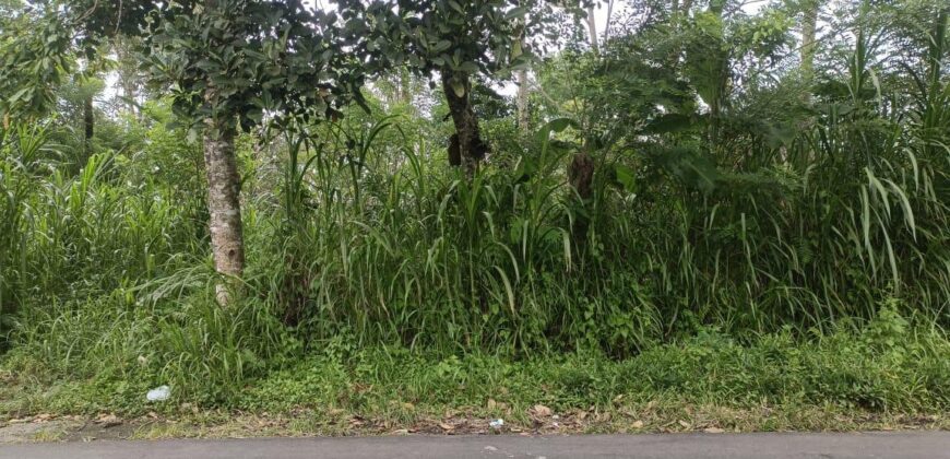 Tanah Tegalan 13 Ara Ubud Gianyar