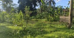 Land 54 Ara Tegalalang