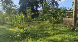 Land 54 Ara Tegalalang