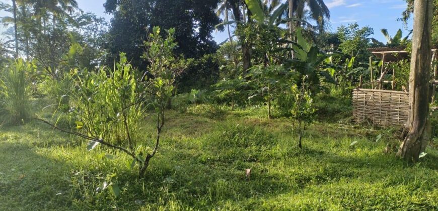 Land 54 Ara Tegalalang