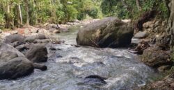 Land 5-10 Hectares Tabanan