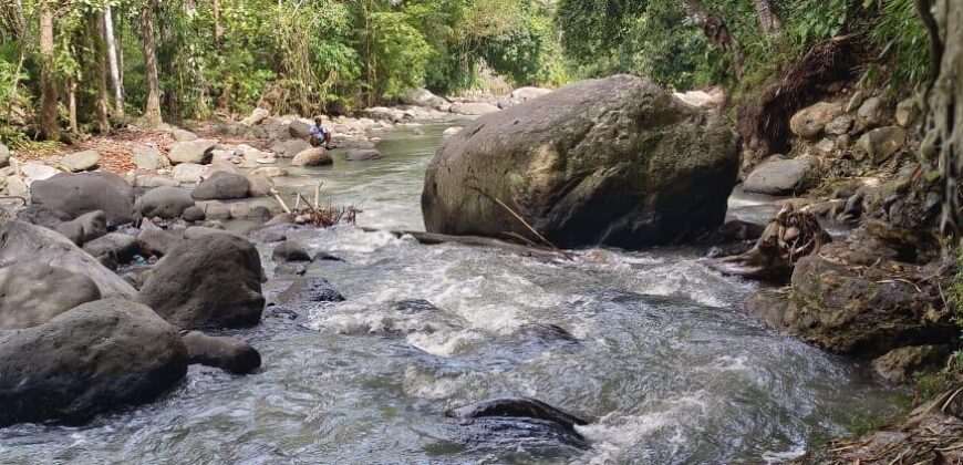 Land 5-10 Hectares Tabanan