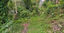 Land 200 Ara (2 Hectares) Pejeng Gianyar