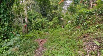 Land 200 Ara (2 Hectares) Pejeng Gianyar