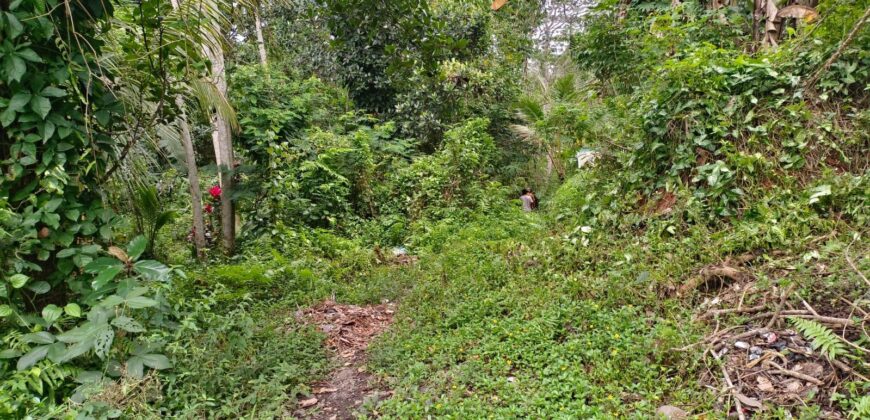 Land 200 Ara (2 Hectares) Pejeng Gianyar