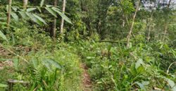 Land 200 Ara (2 Hectares) Pejeng Gianyar