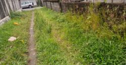 Land 200 Ara (2 Hectares) Pejeng Gianyar