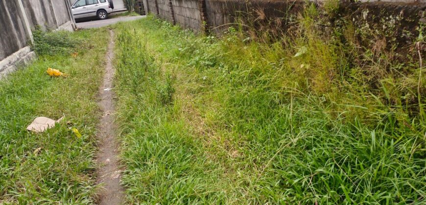 Land 200 Ara (2 Hectares) Pejeng Gianyar