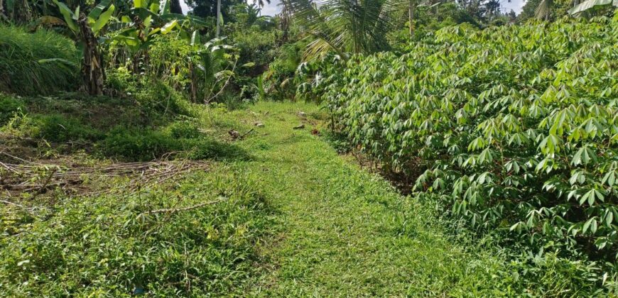 Land 5-10 Hectares Tabanan