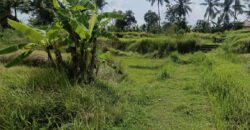 Land 135 Ara (1,35 Hectares) Tegalalang Gianyar