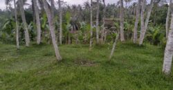 Land 5-10 Hectares Tabanan