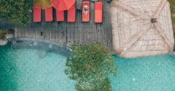 Boutique Resort 150 Ara (1.5 Hectares) at Payangan Gianyar