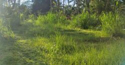 Land 54 Ara Tegalalang