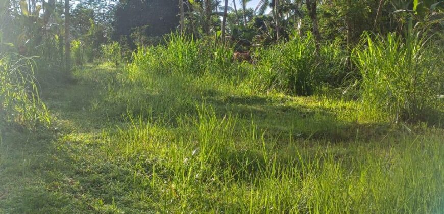 Land 54 Ara Tegalalang