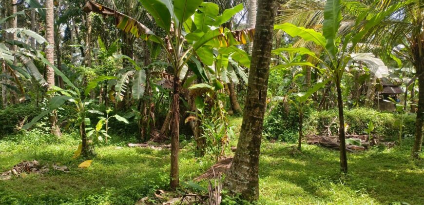 Land 138 Ara (1,38 Hectares) Kedewatan Ubud