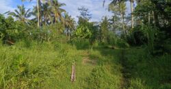 Land 5-10 Hectares Tabanan