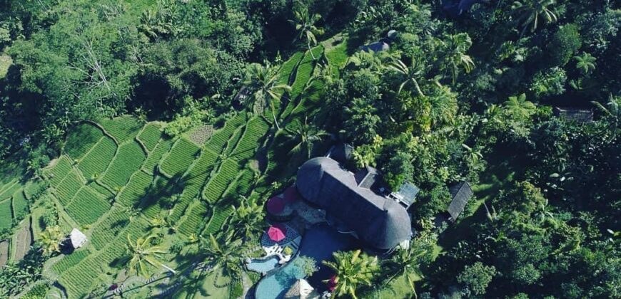 Boutique Resort 150 Ara (1.5 Hectares) at Payangan Gianyar