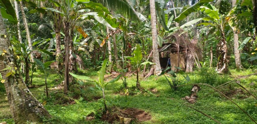 Land 138 Ara (1,38 Hectares) Kedewatan Ubud
