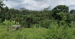 Land 135 Ara (1,35 Hectares) Tegalalang Gianyar