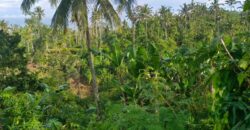 Land 5-10 Hectares Tabanan