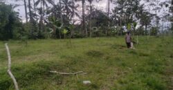 Land 5-10 Hectares Tabanan