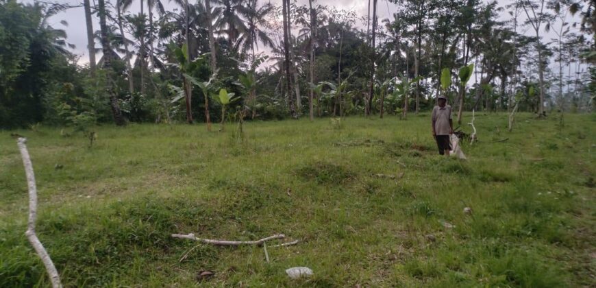 Land 5-10 Hectares Tabanan