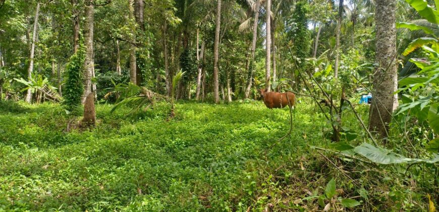Land 138 Ara (1,38 Hectares) Kedewatan Ubud