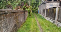Land 200 Ara (2 Hectares) Pejeng Gianyar