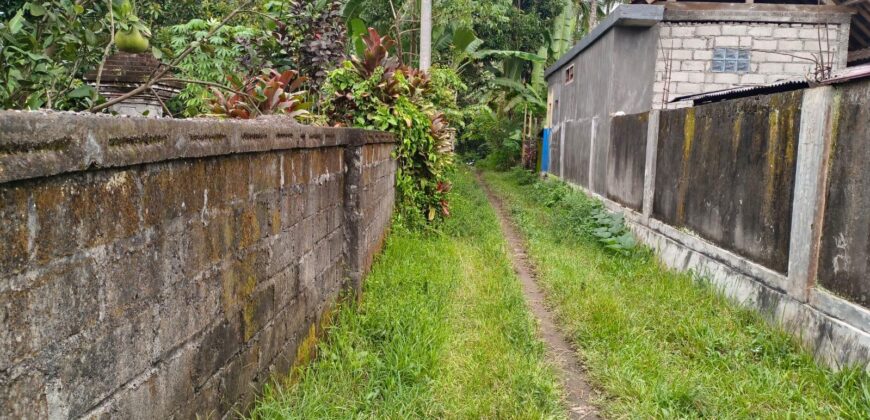 Land 200 Ara (2 Hectares) Pejeng Gianyar