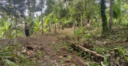 Land 83 Ara Tegalalang Ubud Gianyar