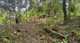 Land 83 Ara Tegalalang Ubud Gianyar