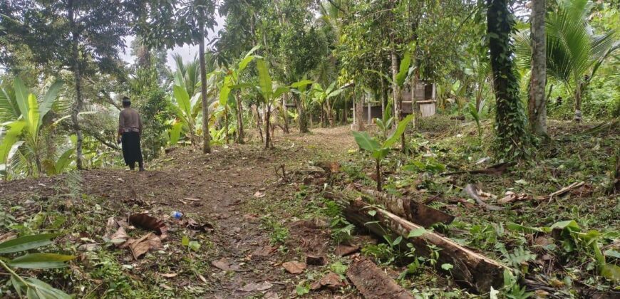 Land 83 Ara Tegalalang Ubud Gianyar