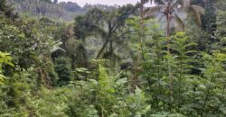 Land 14,3 Ara – Tegalalang Ubud Gianyar