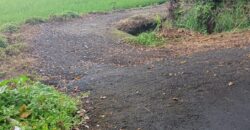 Land 1,18 Hectare at Tabanan
